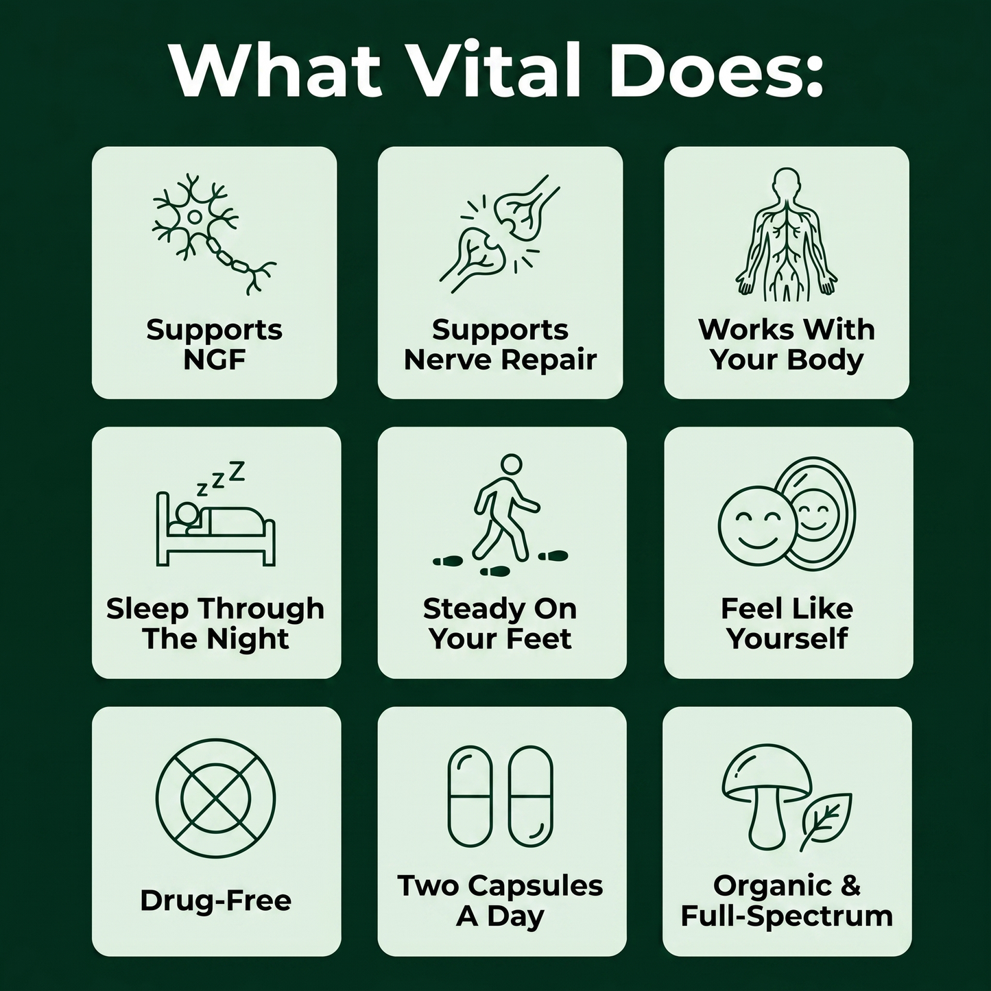 Vital® Lion's Mane Mushroom