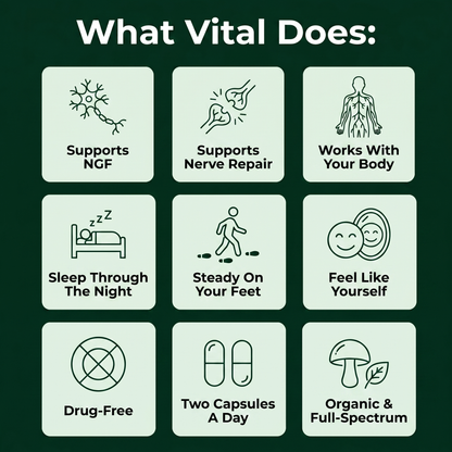 Vital® Lion's Mane Mushroom